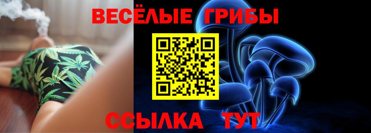Псилоцибиновые грибы Psilocybine cubensis  Вход с VPN  Губкинский 
